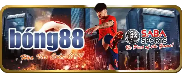 Theo dõi VNBET trên mạng xã hội